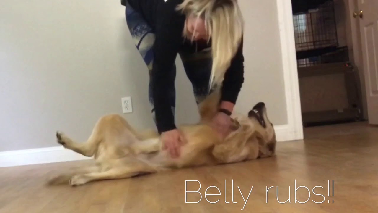 Milo’s first progress video!