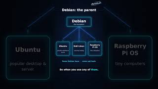 Why Debian Runs the Internet's Servers 🐧 Linux's Most Trusted Distro Explained