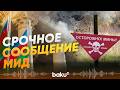 Азербайджан призвал срочно расширить международную поддержку в разминировании - Baku TV | RU