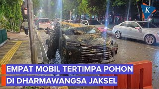 Pohon Tumbang Timpa Empat Mobil di Dharmawangsa, Jakarta Selatan