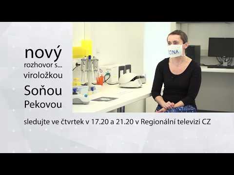 Video: 20 Ideálnych Denných Alebo Sezónnych Pracovných Miest Pre Autorov Cestovných Kancelárií - Matador Network