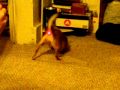 suki and her laser