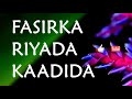 Riyada kaadida qofkii arko kaadi ama asoo kaadshayo ama kaadi reebayo maxaa lagu fasiraa