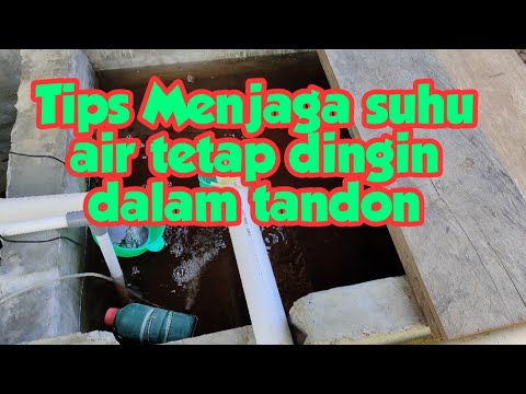 Video: Bagaimana saya bisa menjaga air tangki saya tetap dingin?