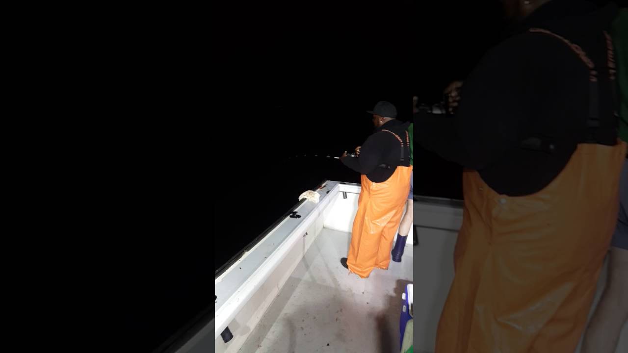 Sound Bound Charters Night Fishing YouTube