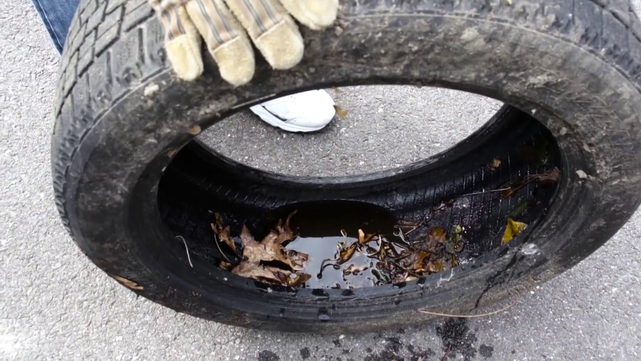 Mosquito Madness Tire Pickup Program YouTube