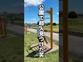公園で人間鯉のぼりしてる超人がいた！！！www