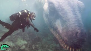 CES CAMÉRAS SOUS MARINES ONT FILMÉS CE QUE PERSONNE N'ÉTAIT CENSÉ VOIR !