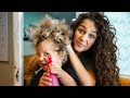 CURLY HAIR TO STRAIGHT | FAMILY VLOG