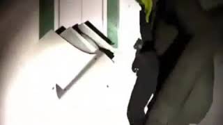 Shrek funny vine / meme
