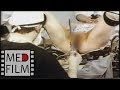 Гинекология: эндоскоп, лапароскоп, рентген © Gynecology: endoscope, laparoscope, X-reys