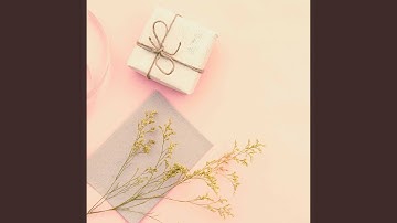 High-class Backdrops for Another Rhythm