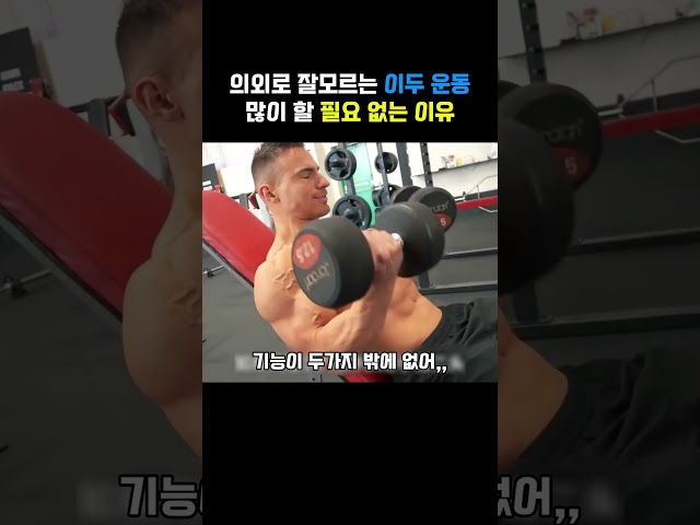 의외로 잘 모르는 이두 운동 많이 할 필요 없는 이유