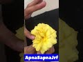 Parts of Yellow Rose ||
