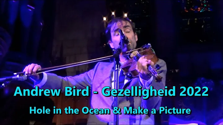 Andrew Bird  Hole in the Ocean Floor & Make A Pict...