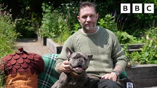 Bedtime Stories: Tom Hardy reads The Oak Tree | CBeebies