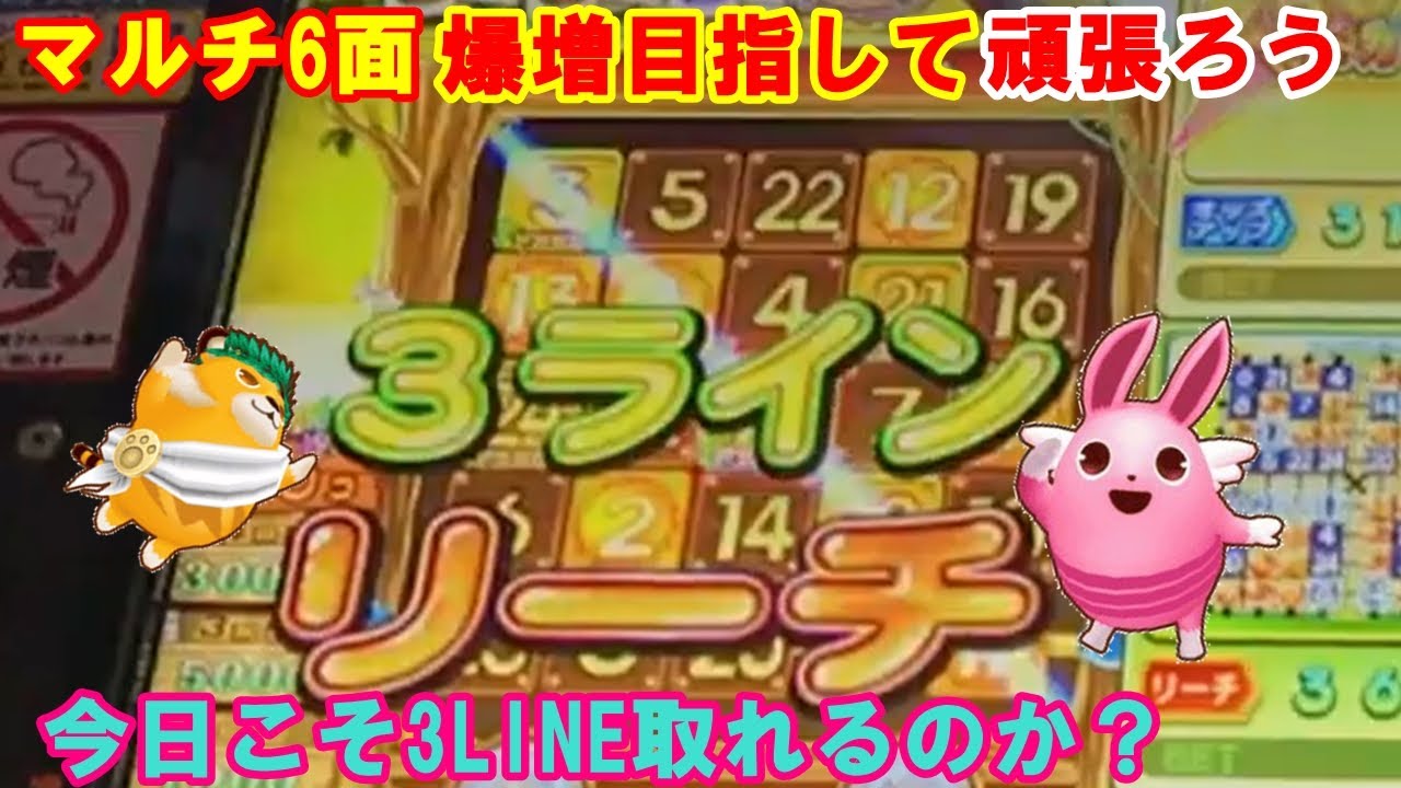 アニマロッタ】6面アニマで爆増目指して今日も張り切っていきましょう