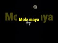 || Mor Sundri || #song #viral #popular #cgsong #status #story #love #lyrics #whatsappstatus