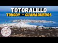 TOTORALILLO, TONGOY, GUANAQUEROS Y SUS PLAYAS | CHILE | 4K |