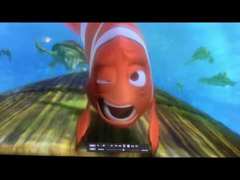 Finding Nemo righteous