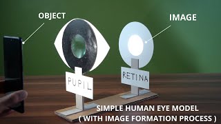 Super easy project for school students / How to make simple human eye model ( full tutorial )