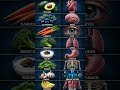 Best Foods for Every Body Part