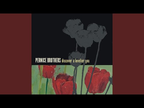 Pernice Brothers — Snow