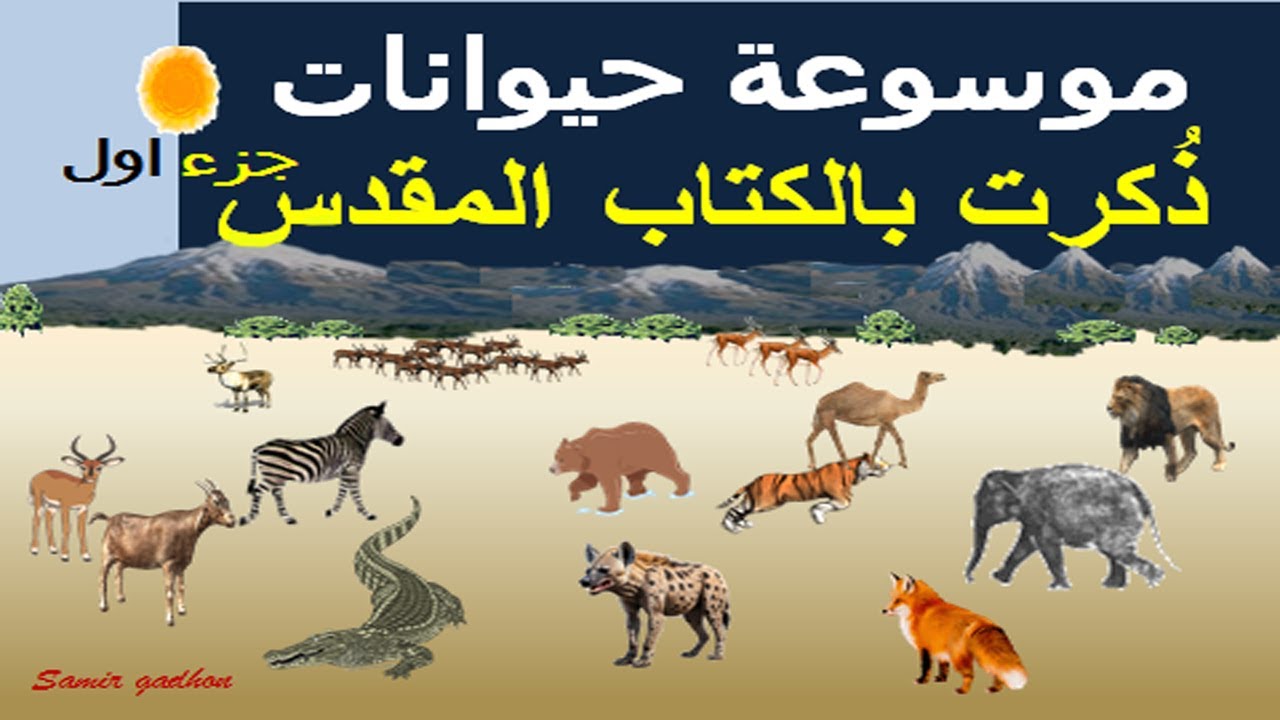 معلومات عن حيوانات الكتاب المقدس اصواتها صفاتها رموزها من خلال سؤال وجواب ( الجزء الاول )