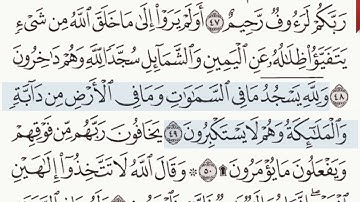القرآن الكريم سورة النحل الآيتين 49 و 50