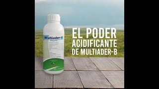 Multiader B Acidificante