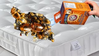 How to Get Rid of Dust Mites on a Mattress with Baking Soda (& Lowering Humidity)