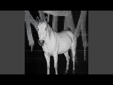 Watch NTM on YouTube Watch NTM on YouTube