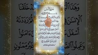 Surah At-Teen Soul-Refreshing Quran Recitation