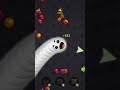 hungry snakes 🪱