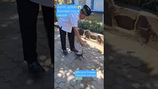 Download Lagu Nyambek atau biawak masuk sekolah #sekolah #belajarpancasilamempersatukanwarga MP3