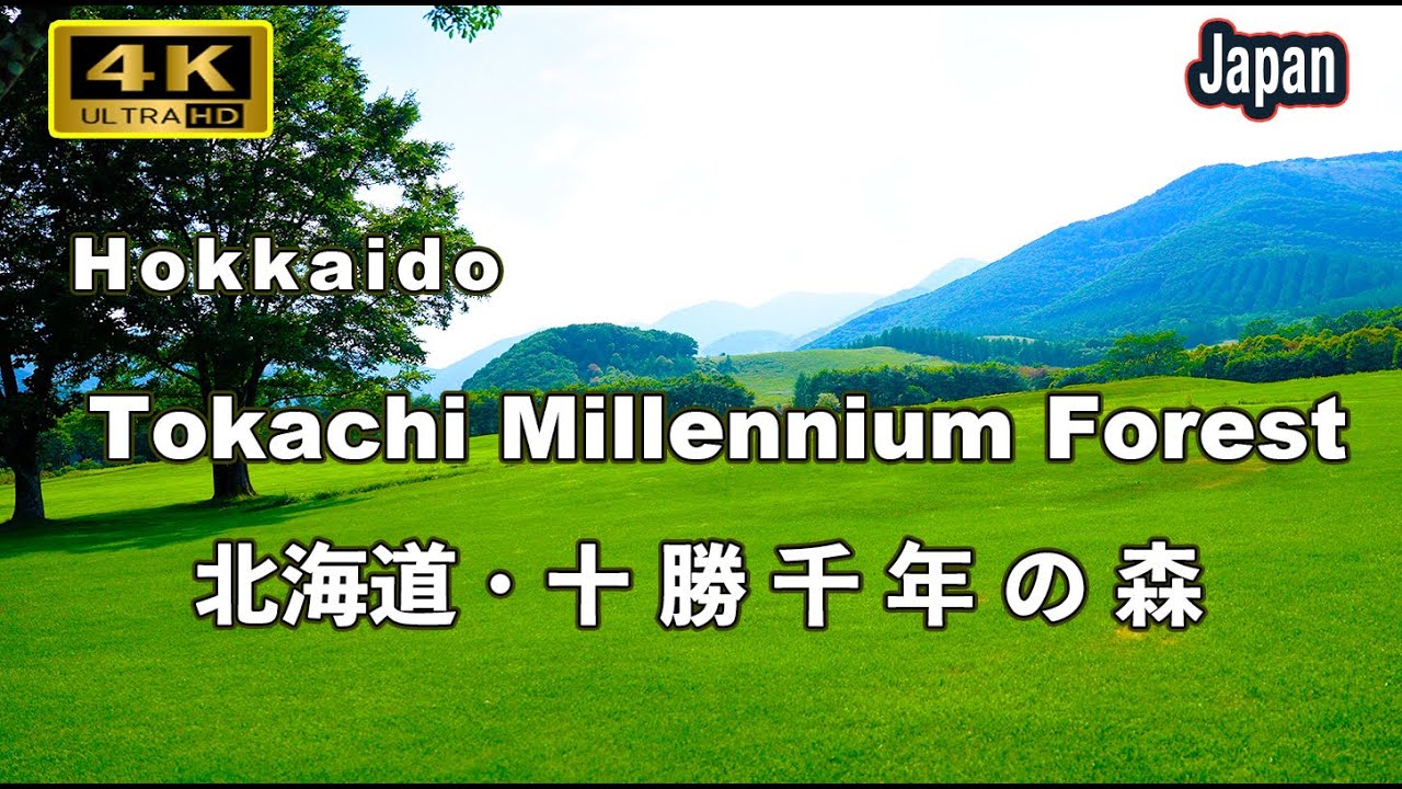 HokkaidoTokachi Millennium Forest,| 十勝千年の森| 癒しの散歩