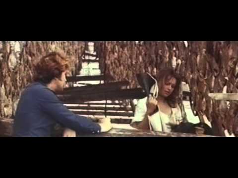 Марш кинематографистов - Солнце,снова Солнце