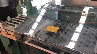 Video of soft infusion bag inspection machine 1 screenshot 4