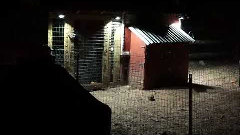 Chicken Coop Automation - Mobile App