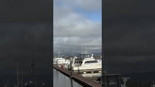 Ilwaco fishing guides