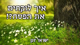 ר׳ ישראל דגן - איך לוקחים את הפסח?!