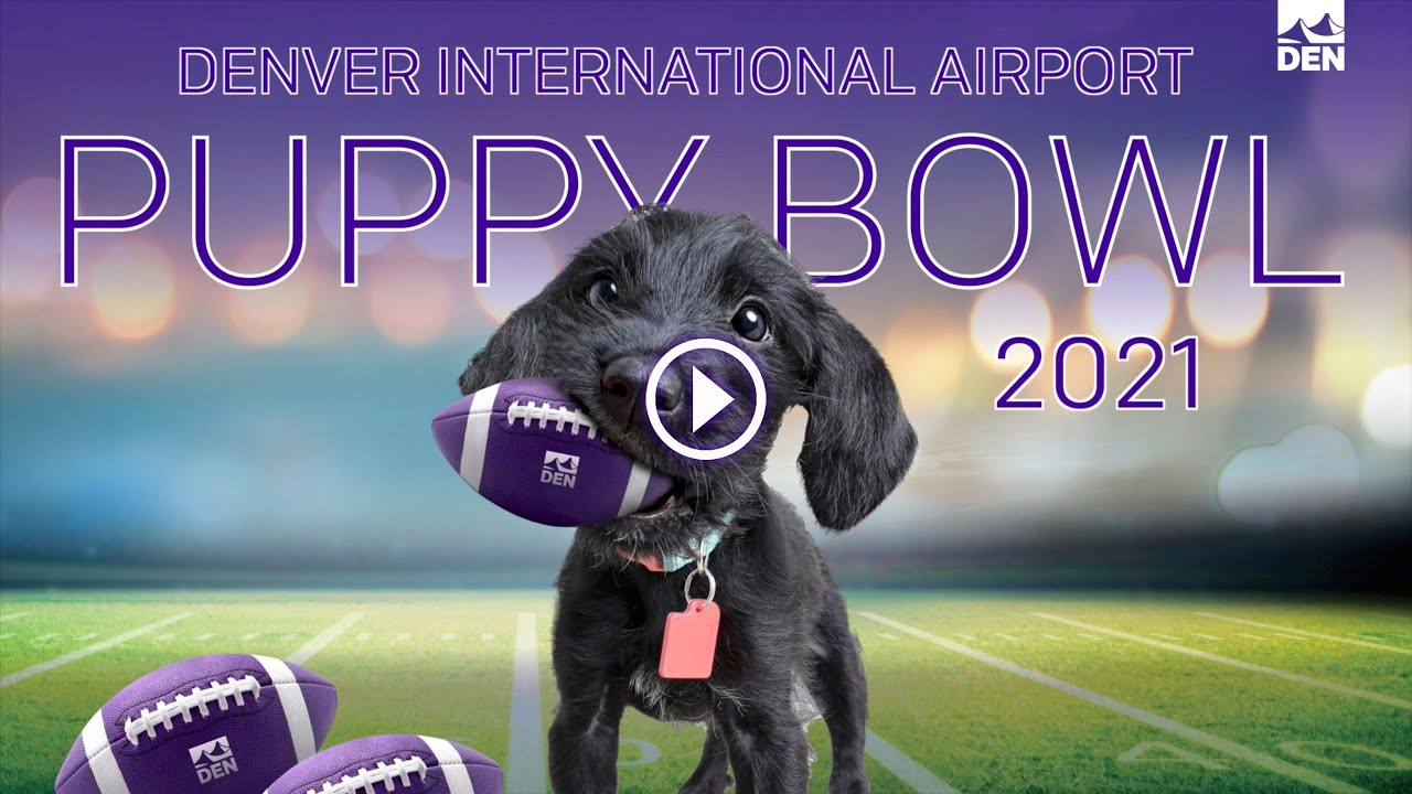 DEN Puppy Bowl 2021 - YouTube