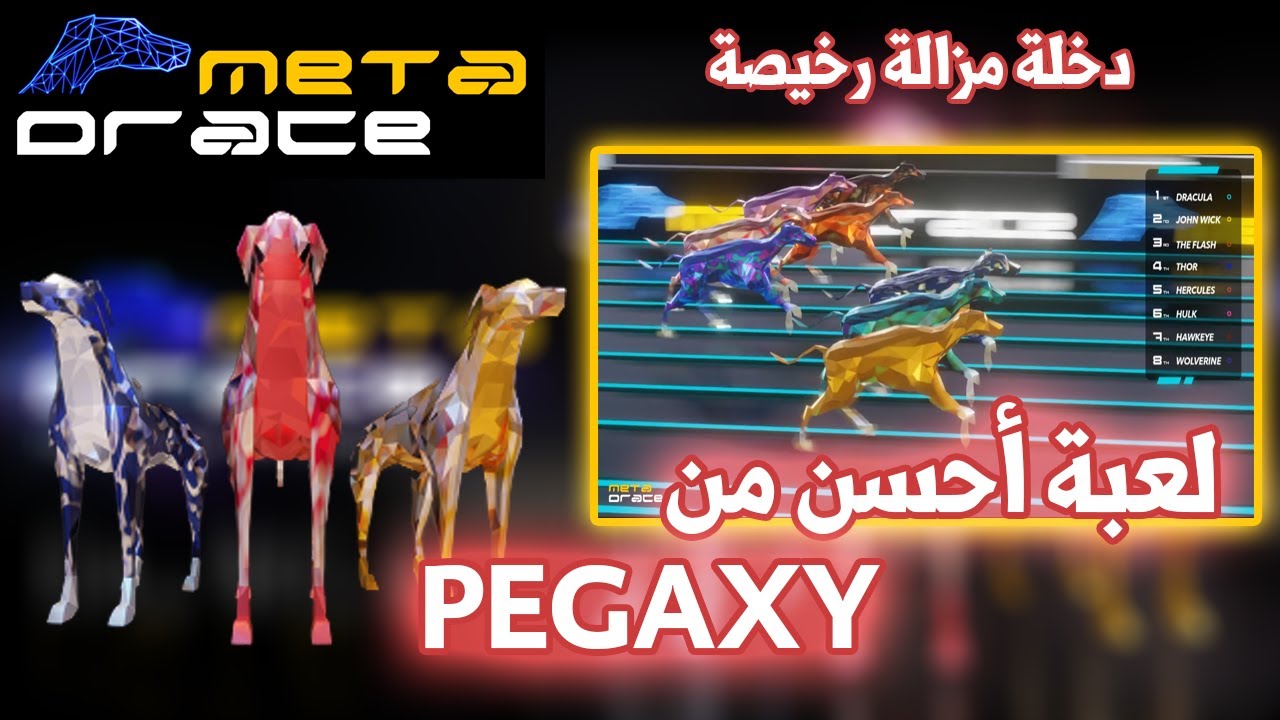 PEGAXY لعبة بثمن رخيص أحسن من  - META DRACE Play To Earn