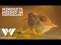The mindsets you need for amazing progress in photography