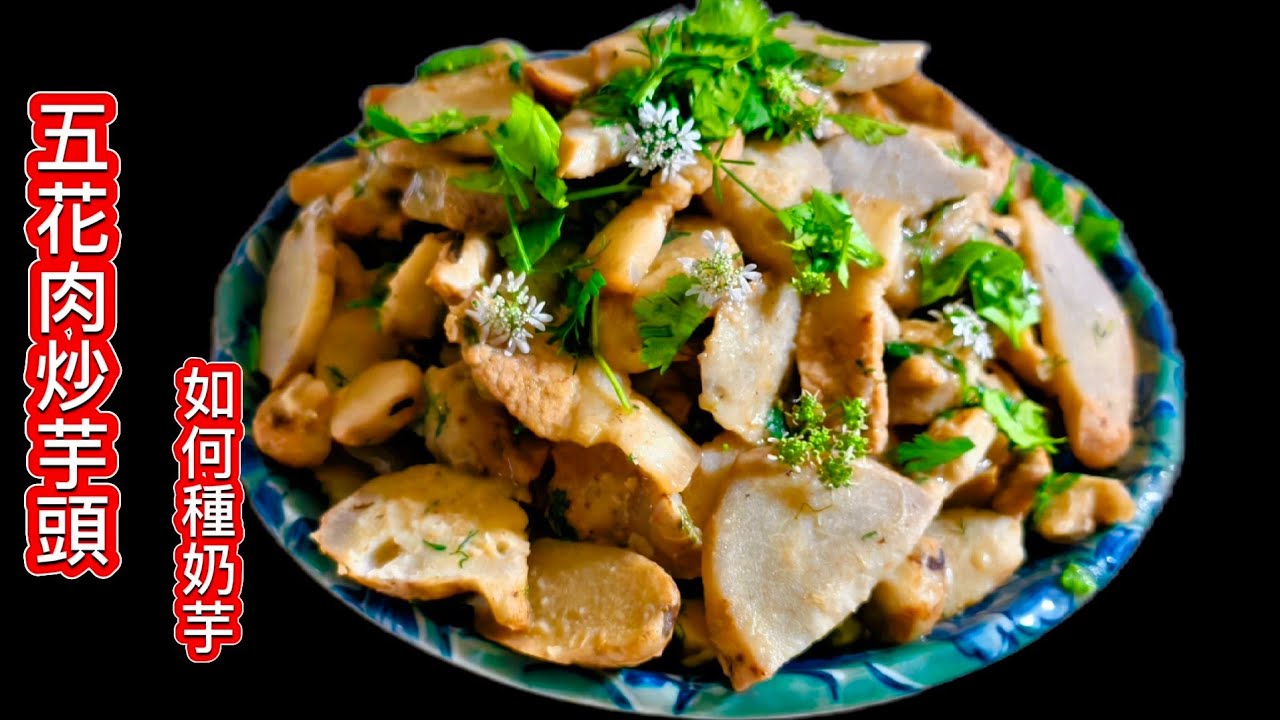 如何炒芋頭 ⁉️為什麼炒芋頭不能放醬油 如何種芋頭