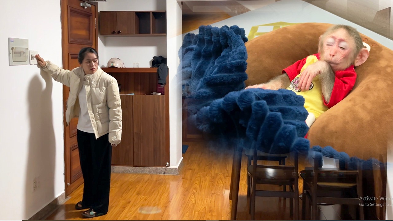 Aunt Uses the Time to Go to the Market While CUBIS Sleeps