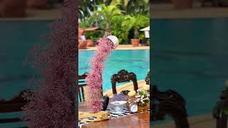 ALICE IN WONDERLAND MEETS TOMORROWLAND in GOA ALICE IN WONDERLAND MEETS TOMORROWLAND in GOA