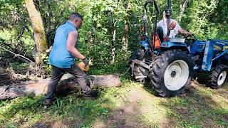 Firewood On The Farm – Picking Through Storm Damage