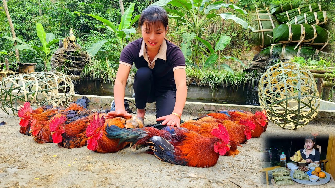 An harvests roosters to sell at the New Year market and wraps cakes to