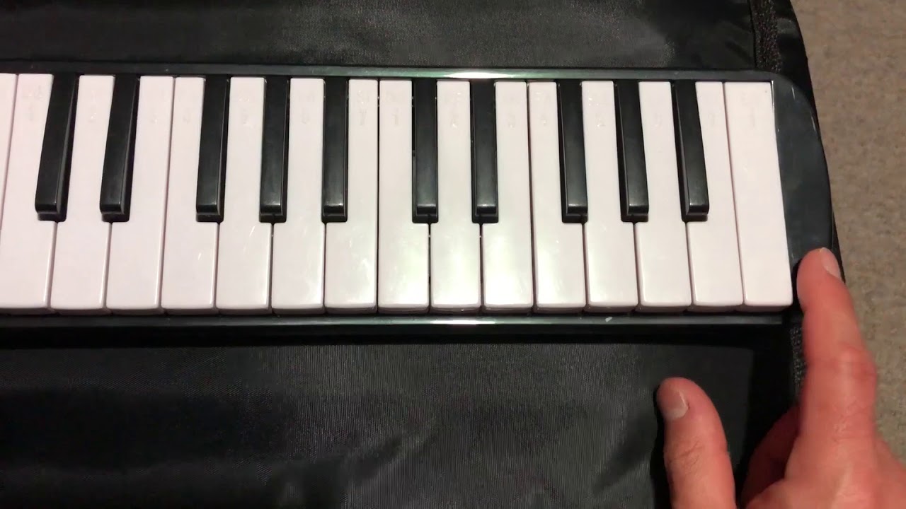 MELÓDICA Y SUS NOTAS YouTube